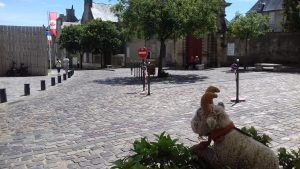 Chevreau et vieux Bayeux 2