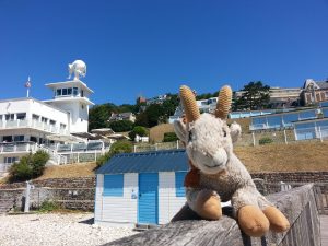 Homme et éléphant Chevreau Le Havre