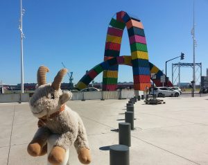 Chevreau et catène Le Havre