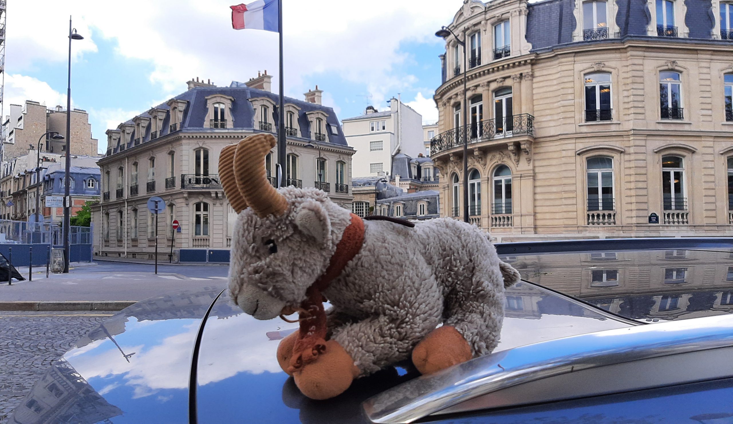 Le Chevreau à Paris, Goat in #Paris. En #París ; Cabra parisenca.